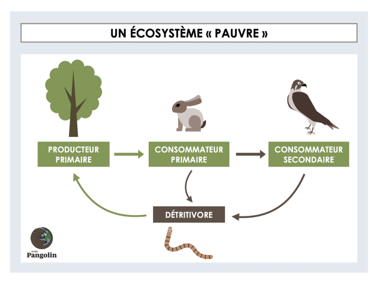 Pourquoi et comment préserver la biodiversité